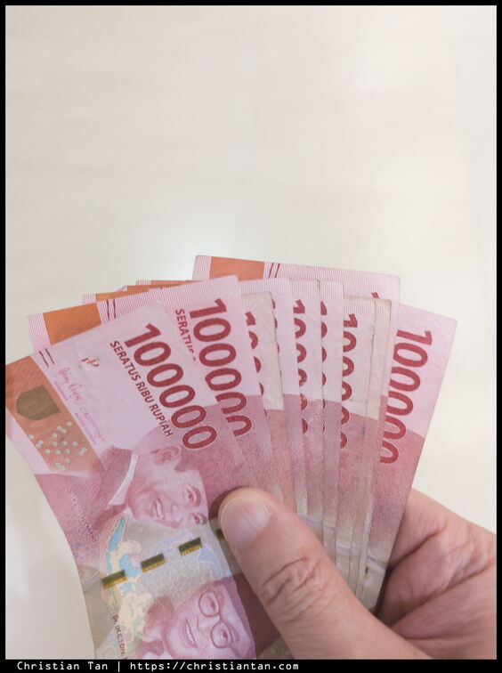 PXL 20240812 103959937.RAW-02.ORIGINAL