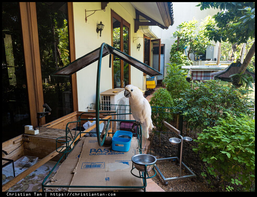 PXL 20240813 055555567.RAW-02.ORIGINAL