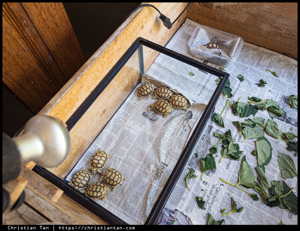 PXL 20240813 062912330.RAW-02.ORIGINAL