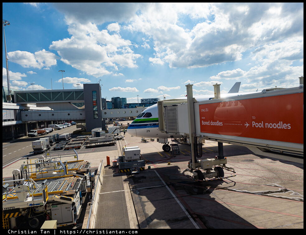 PXL 20240811 133351332.RAW-02.ORIGINAL