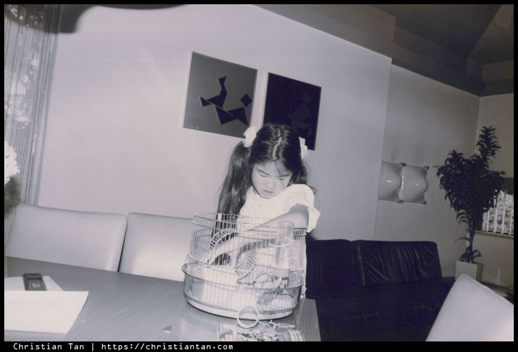 1990 Mencia Eindexamen 0003