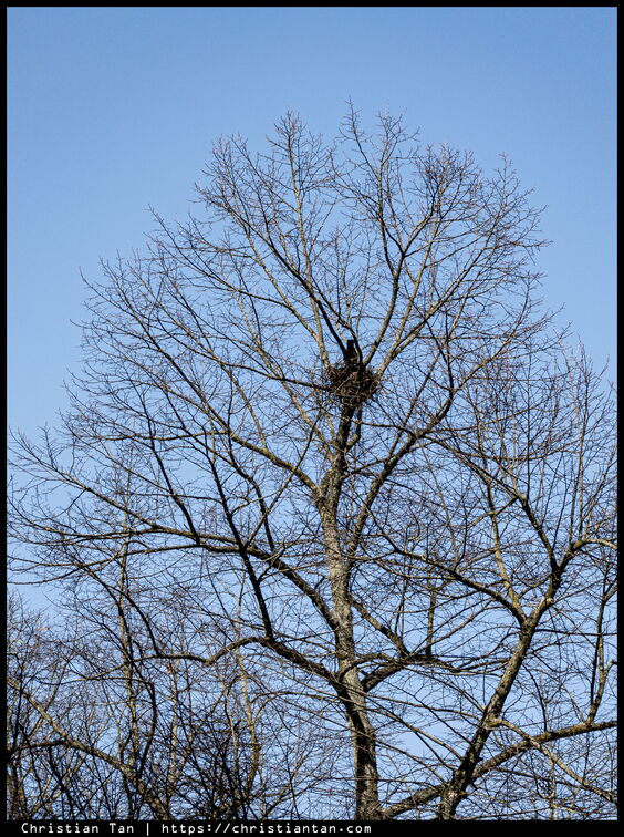 PXL 20250402 100536436.RAW-02.ORIGINAL