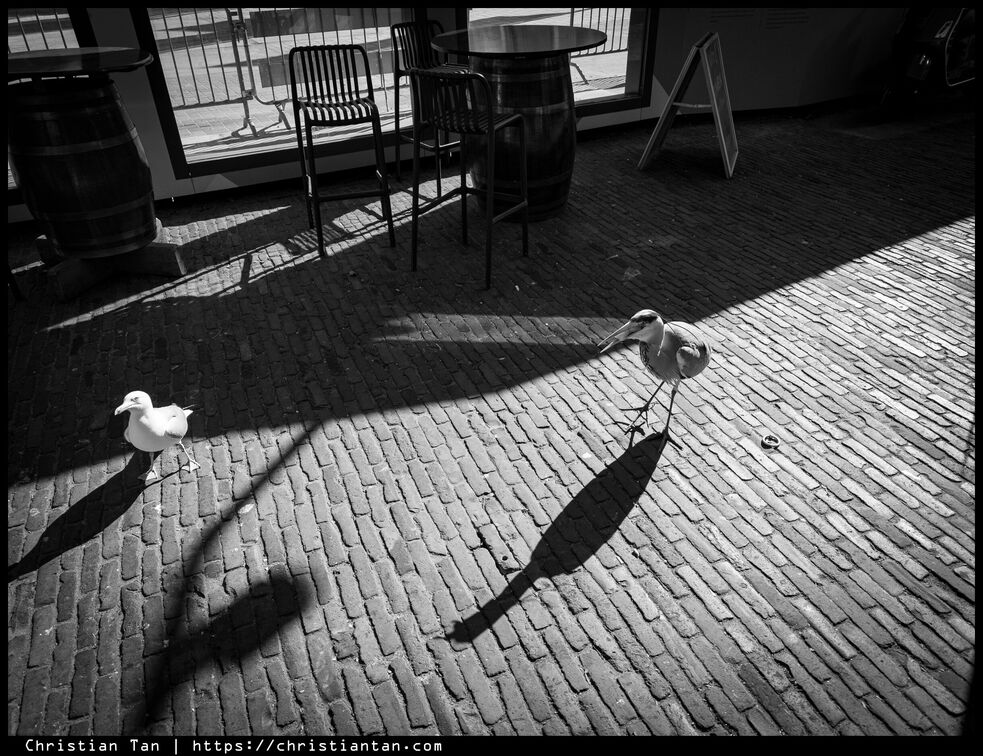 PXL 20250318 135151110.RAW-02.ORIGINAL