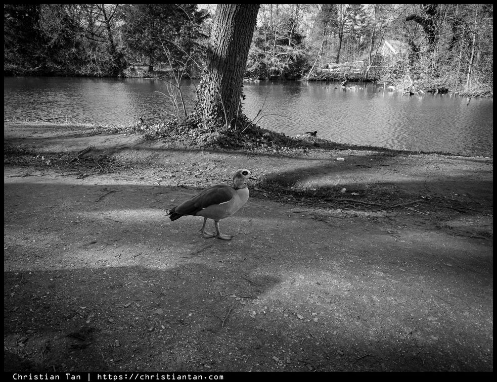 PXL 20250318 150300152.RAW-02.ORIGINAL