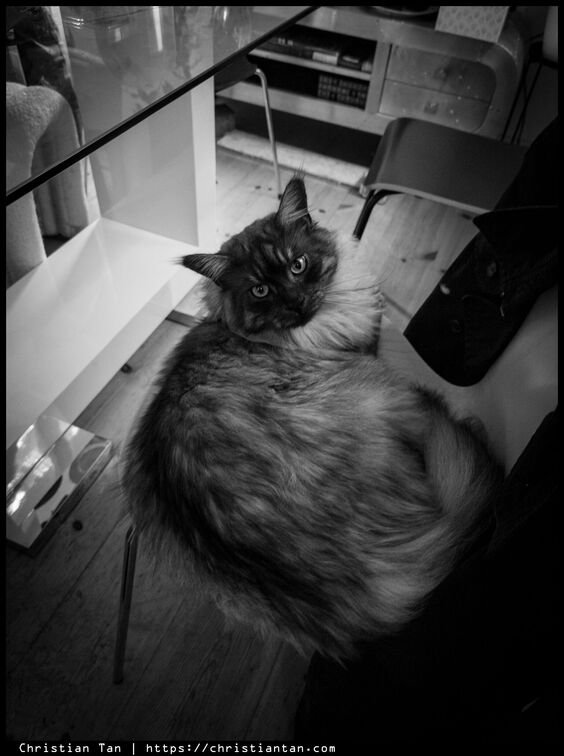 PXL 20250418 171612248.RAW-02.ORIGINAL