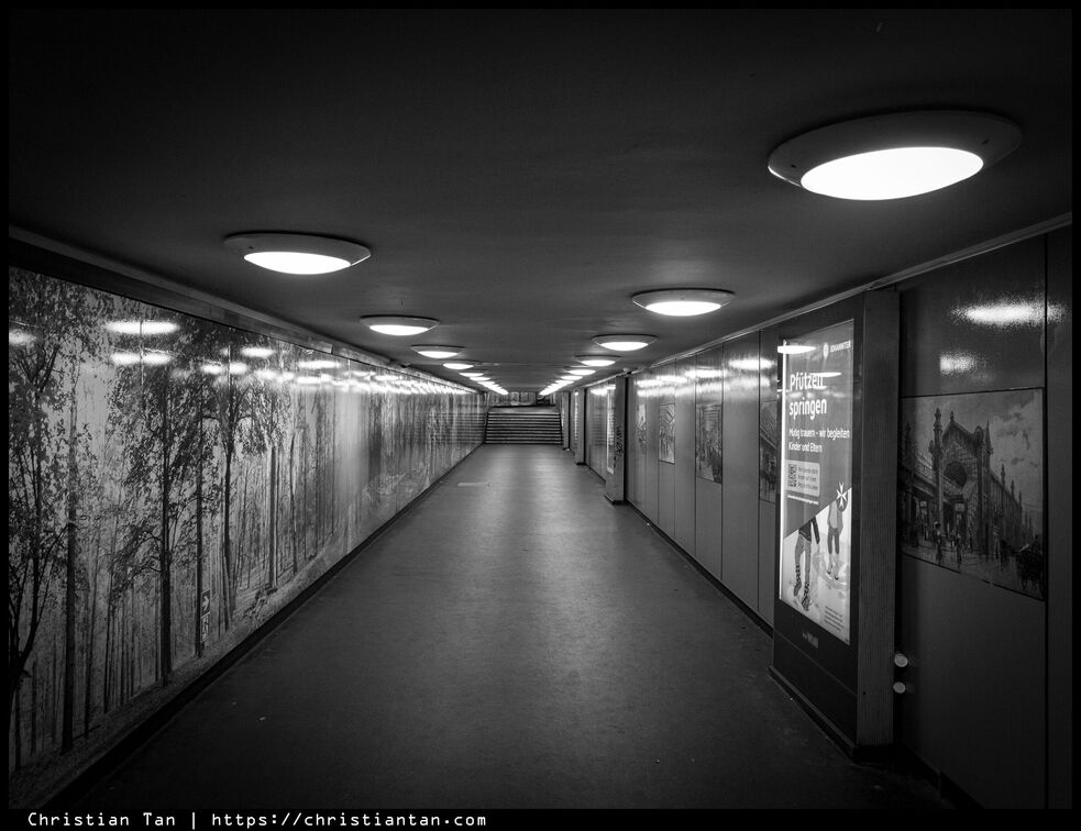 PXL 20250419 022918350.RAW-02.ORIGINAL