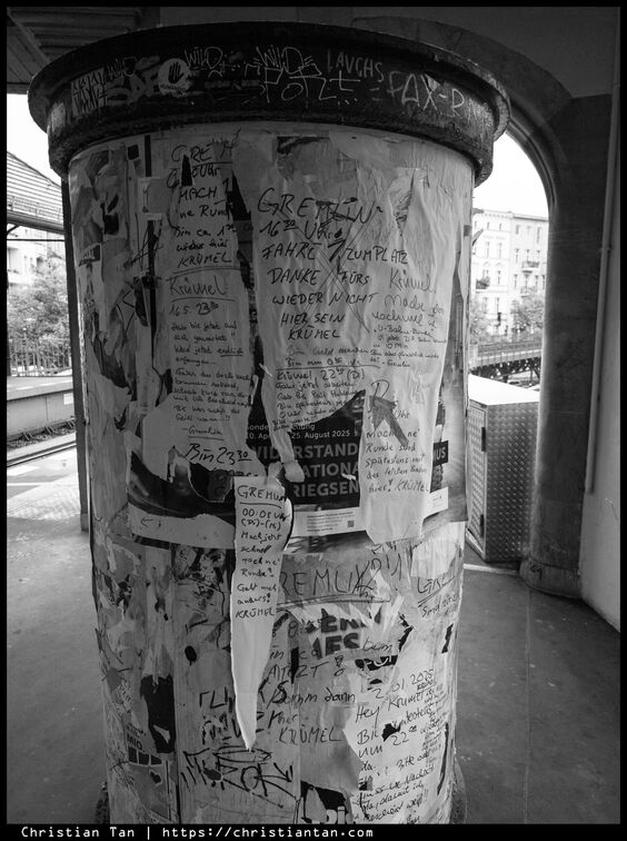 PXL 20250528 073728050.RAW-02.ORIGINAL