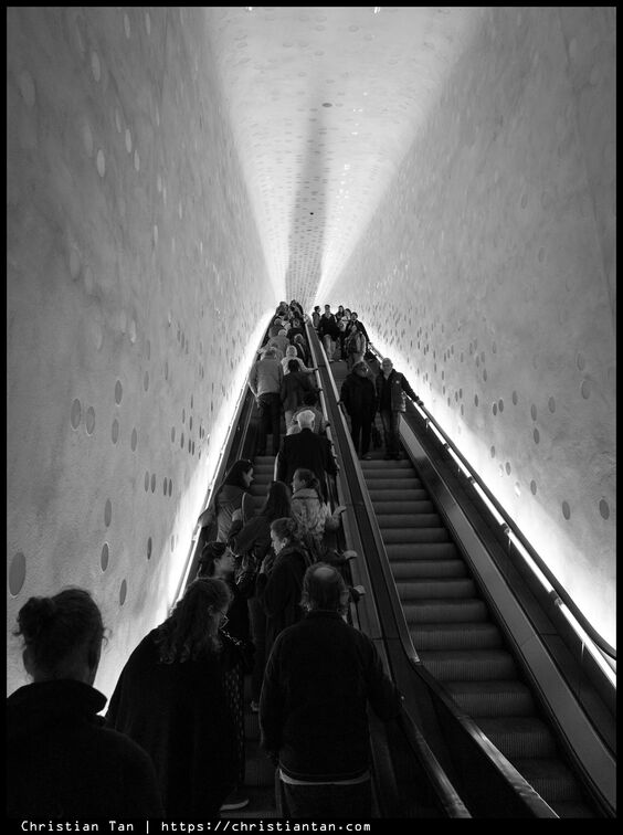 PXL 20250528 164113638.RAW-02.ORIGINAL