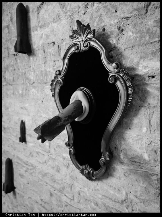 PXL 20250628 180446933.RAW-02.ORIGINAL