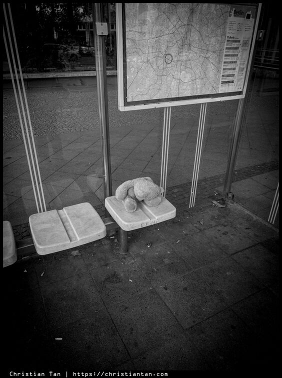 PXL 20250729 065207934.RAW-02.ORIGINAL