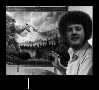 harryross 15378649177 o