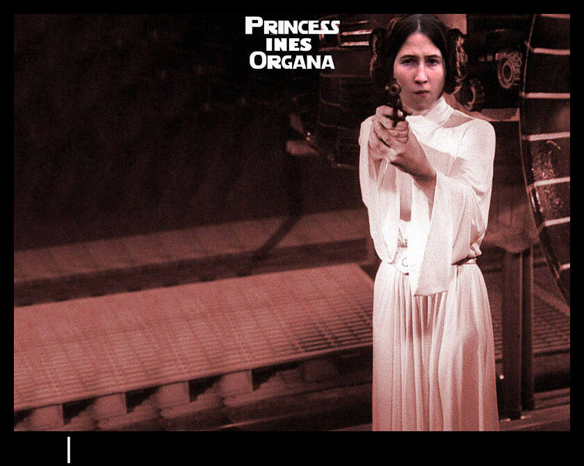 inesorgana 15561988321 o